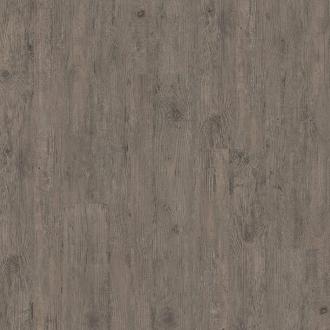 Therdex Premium Serie 5240